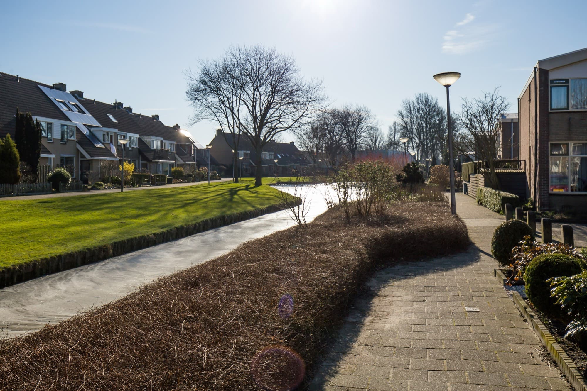 Scholekster 1, Leimuiden — foto 3