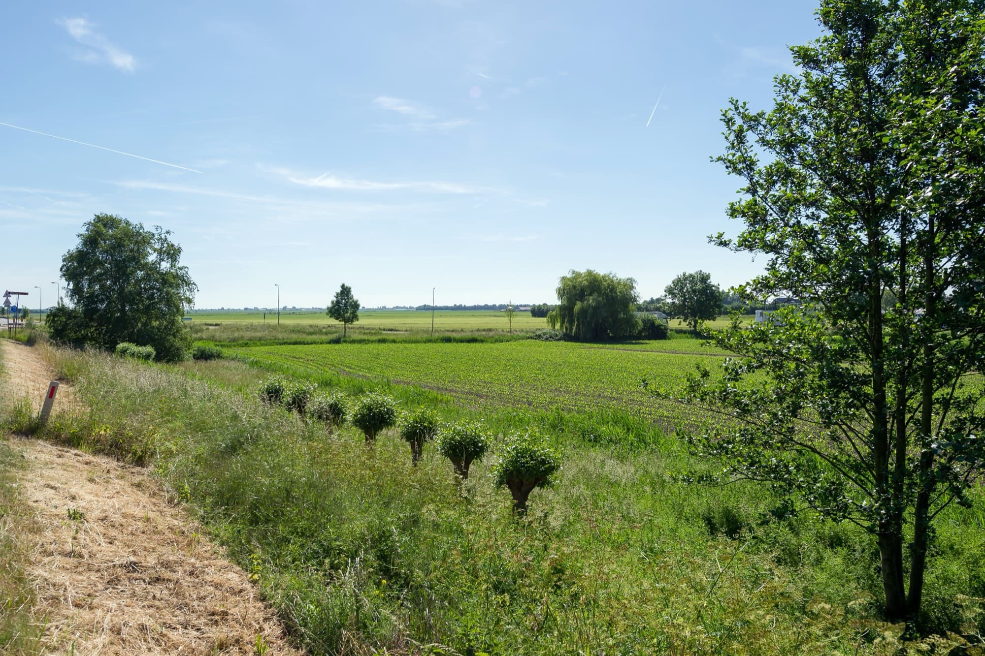 Herenweg 21, Rijnsaterwoude — foto 2