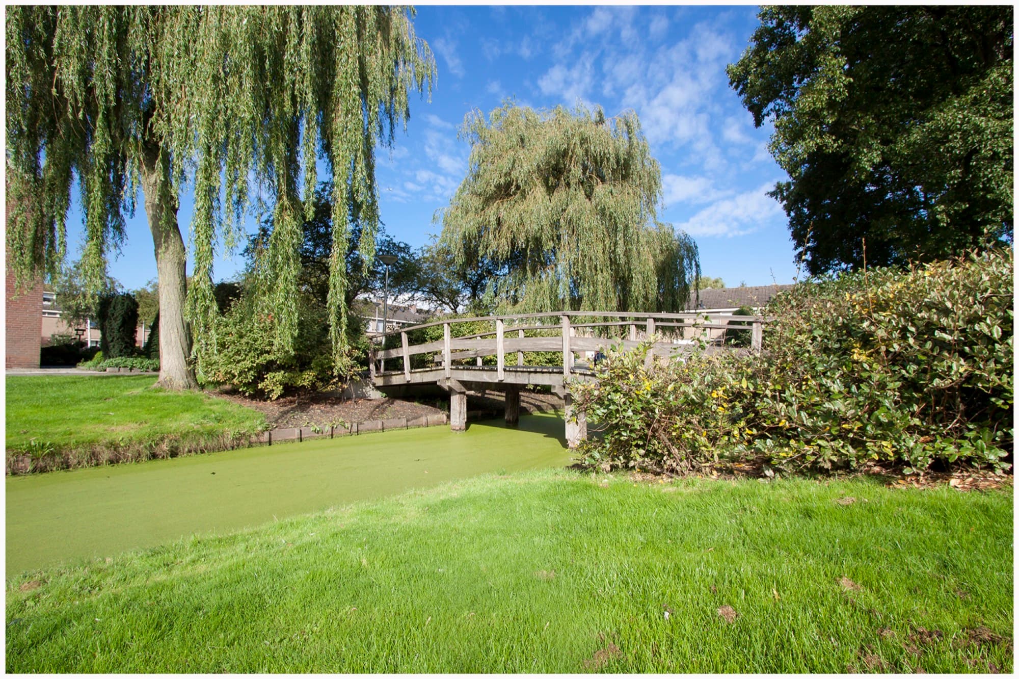 Bruggetje in het park